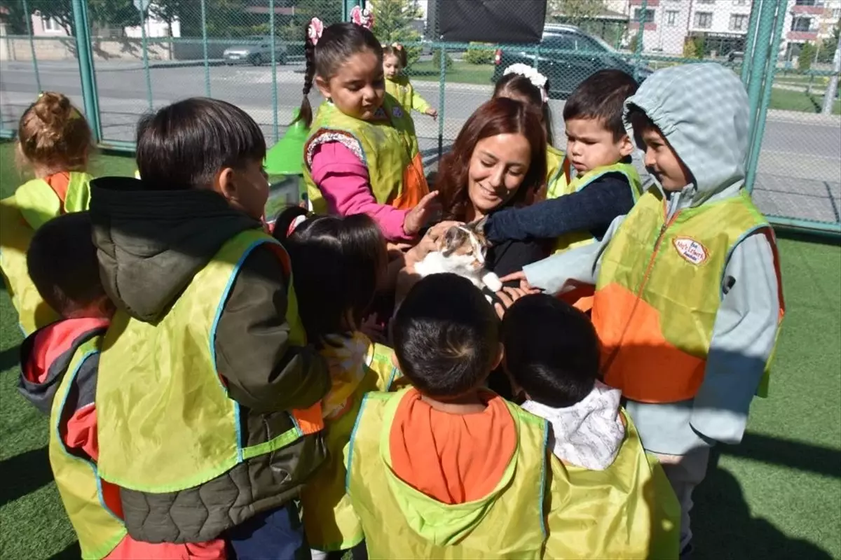 Kocasinan’da ‘Kedi Kasabası’ Öğrencileri Ağırlıyor